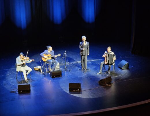 Amira Medunjanin e la sua musica