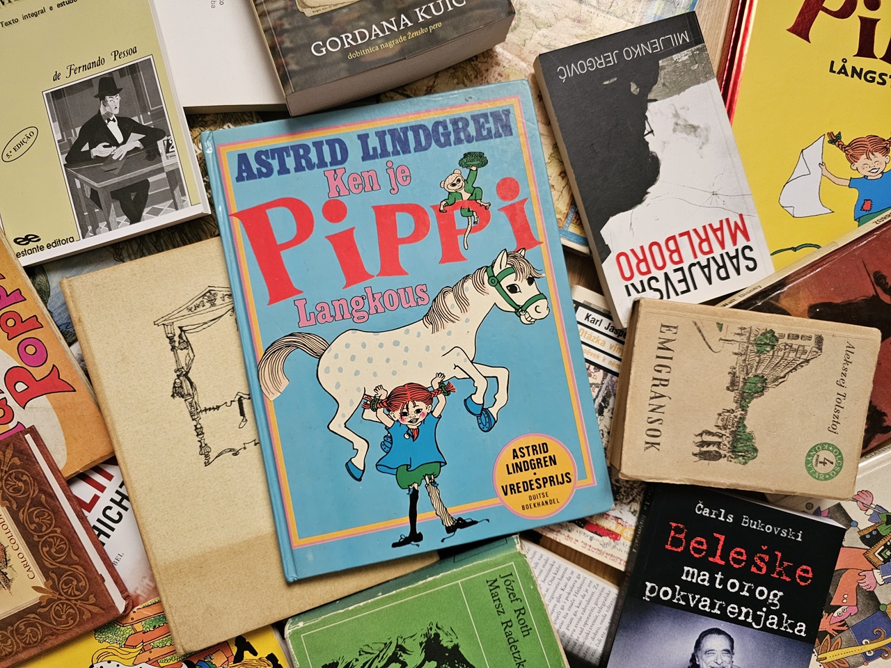 La biblioteca dei viaggi